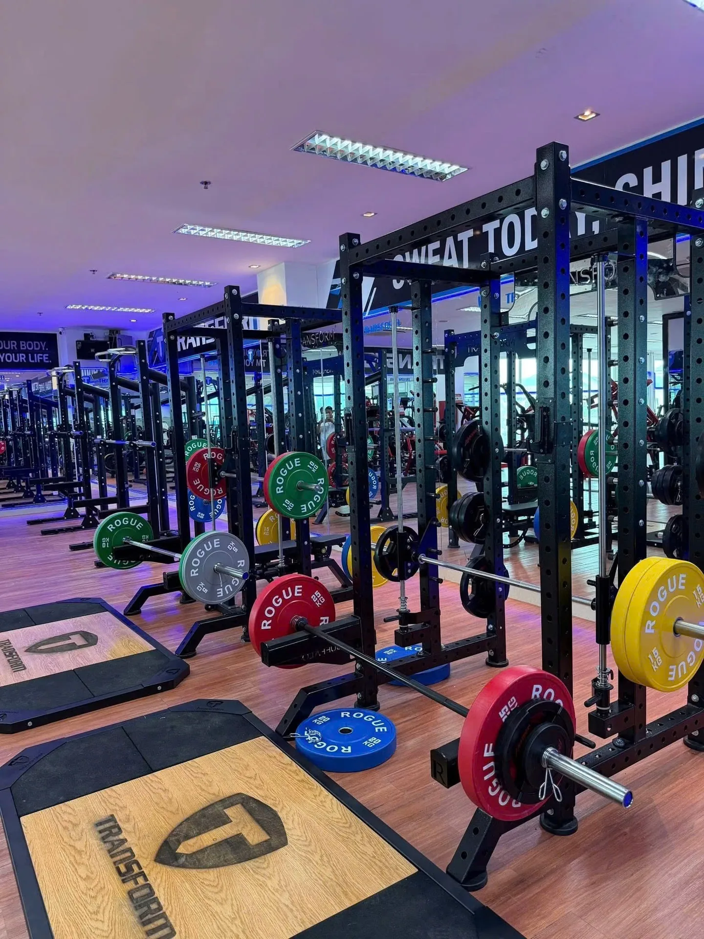 Power rack, thanh đòn và đĩa tạ dự kiến có tại Transform Gym Biên Hòa
