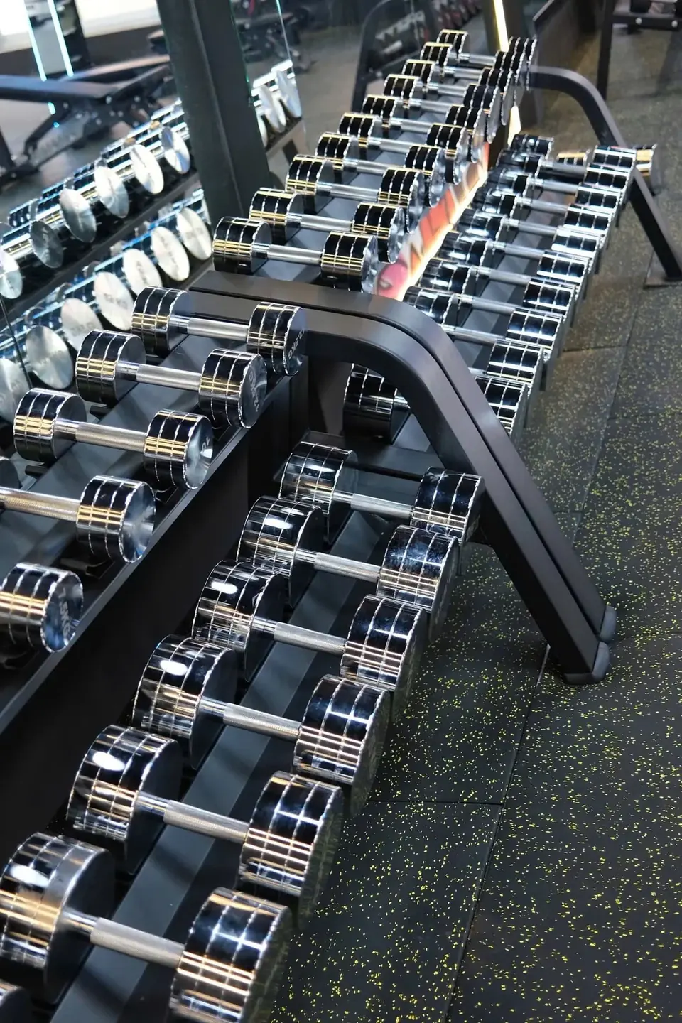 Không gian Transform Gym Gò Vấp – Làng Hoa